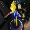 bector3124_