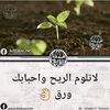 user9335043361674