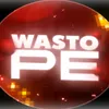 wastope.fan19132