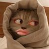 arwrr2