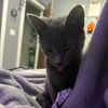 user_unknown2260