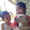bangi.andres.jhan