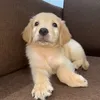 knowmefirst_1