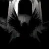 shadow260307