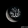 user7680011865121