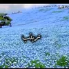 bagarggassem