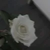 miulee819