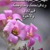 user2858781888161