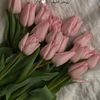 mayar4125