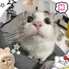 b.cute.nek1