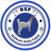 BERKAH SUSU FARM