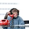 prank call