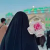 an.noor22