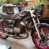 ibnu.putra705