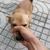 hungdeptraivcl_999