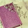 abdo.abo.hlala