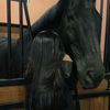 mesoo_222