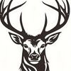 dylfish22