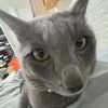 elroy7611