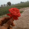 zainkamboh1233