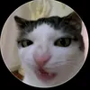 tuynlng022
