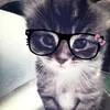 opss_e_a_lica