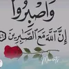 user61874638551994
