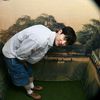 x_shry