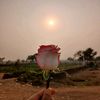 .shahzadi7309
