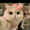 menna.ahmed546