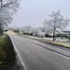 citynaturecanvas