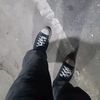 verza_biru