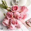 wafa88247