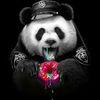 officerpanda6