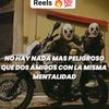 mascota0443