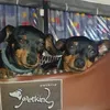 linda25622