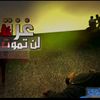 ahmed.abas963