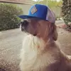 dafauq_76