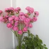 thuy.le6078