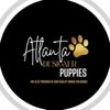 atlantadesignerpuppies0