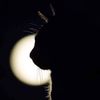 cat.black163