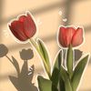 valee2439