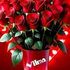 vilmacouso