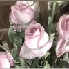 beautypearlxox