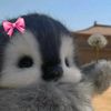 _dinxda