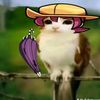 mimi.meow08