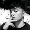 .bavid.sebastian333