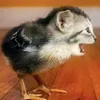 jejejejejejejejejejej_j