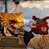 govliash_pro228