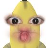 novaanggeta